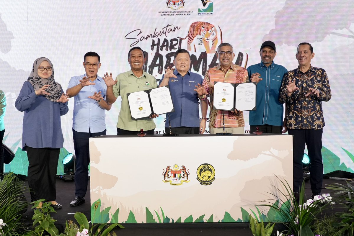 PERHILITAN's tweet image. 🐯 SAMBUTAN HARI HARIMAU SEDUNIA 2025 – HARI PERTAMA 🐾
📍 AEON Mall Shah Alam | 🗓 26 Julai 2025
Sambutan Hari Harimau Sedunia 2025 Peringkat Kebangsaan telah bermula dengan penuh warna-warni dan semangat konservasi!
#SaveTheTiger #GlobalTigerDay #ConservationMatters