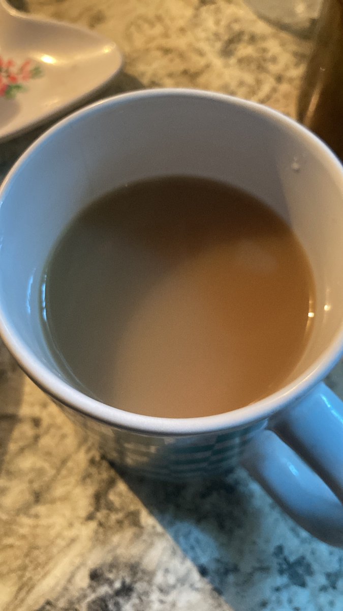 Disciple_Oxide's tweet image. Skipping coffee today, instead having ginger black tea.
Good morning !
