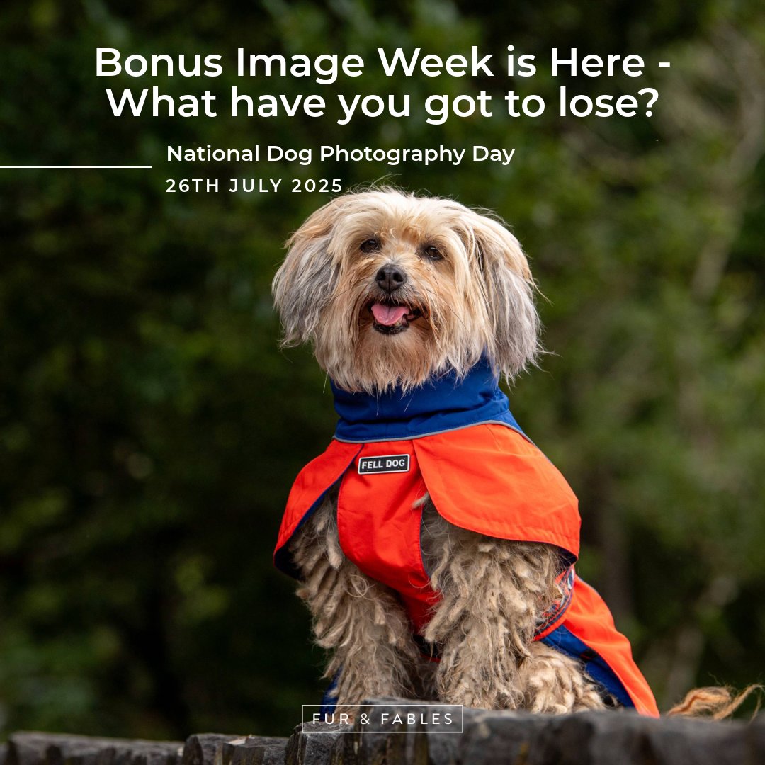 To celebrate #nationaldogphotographyday and carry on the theme of raising visibility for small pet brands, I’m doing something new

I’m giving you a bonus if you book a shoot this week: Book a shoot this week and I’ll increase the number of images in your package at no extra cost