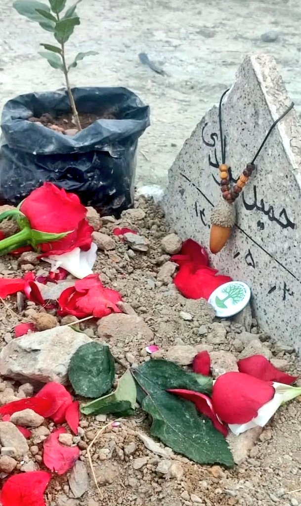 بەڕوو، حەمید و کوردستان...