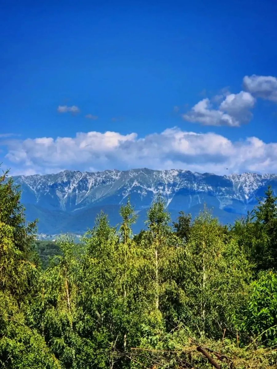 xyzwtf_55's tweet image. Away from the heat☀️
#photography
#photographer
#brasovcunty 🇷🇴