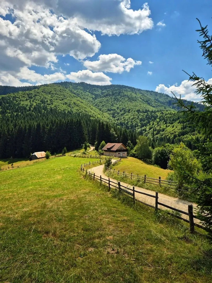 xyzwtf_55's tweet image. Away from the heat☀️
#photography
#photographer
#brasovcunty 🇷🇴