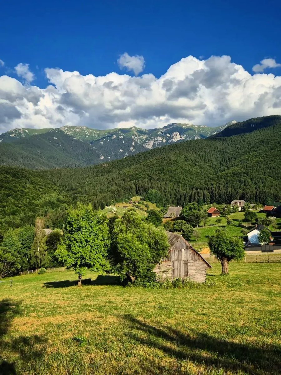 xyzwtf_55's tweet image. Away from the heat☀️
#photography
#photographer
#brasovcunty 🇷🇴