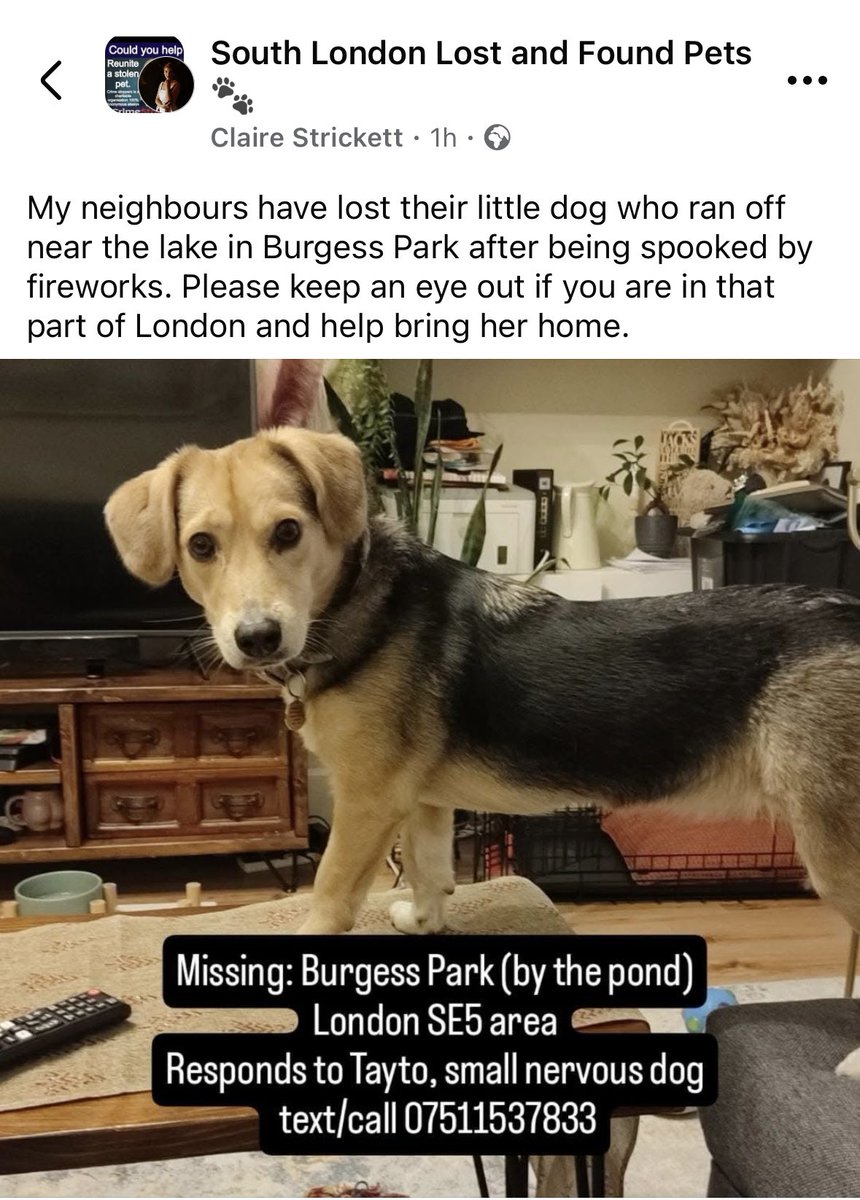 rosiedoc666's tweet image. My neighbours have lost their little dog who ran off near the #lake in #BurgessPark after being #spooked by fireworks. 🧨 Please keep an eye out if you are in that part of #London and help bring her home.
@Southwark_News @southwarkcycle @CrimeLdn @JacquiSaid @02031961pat @bs2510