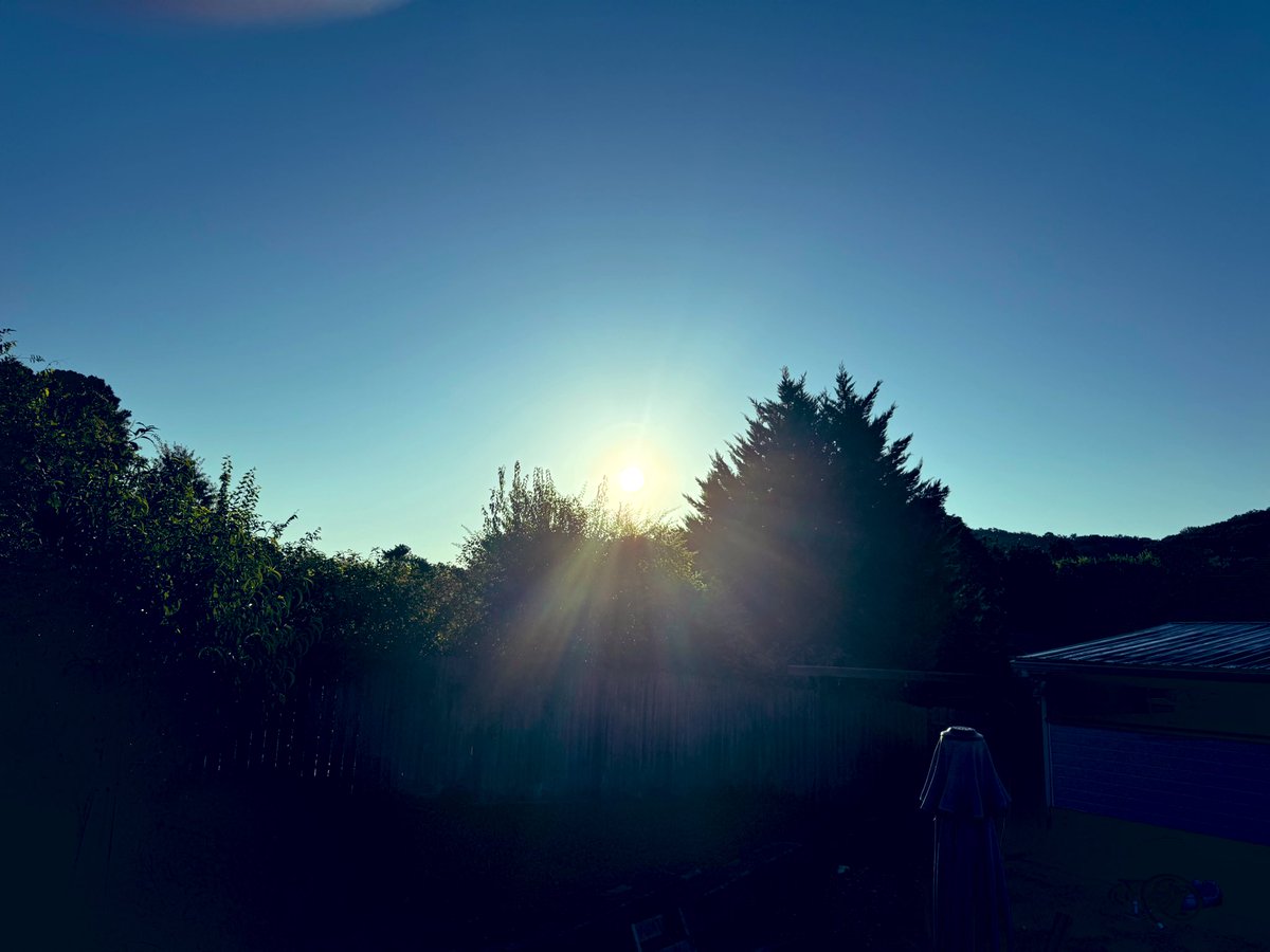 _donutninja's tweet image. Good Saturday morning! The sun is shining, the coffee is hot, and the sourdough cinnamon swirl coffee cake muffins have cooled down enough for my guys to enjoy. Hope you have a good one!