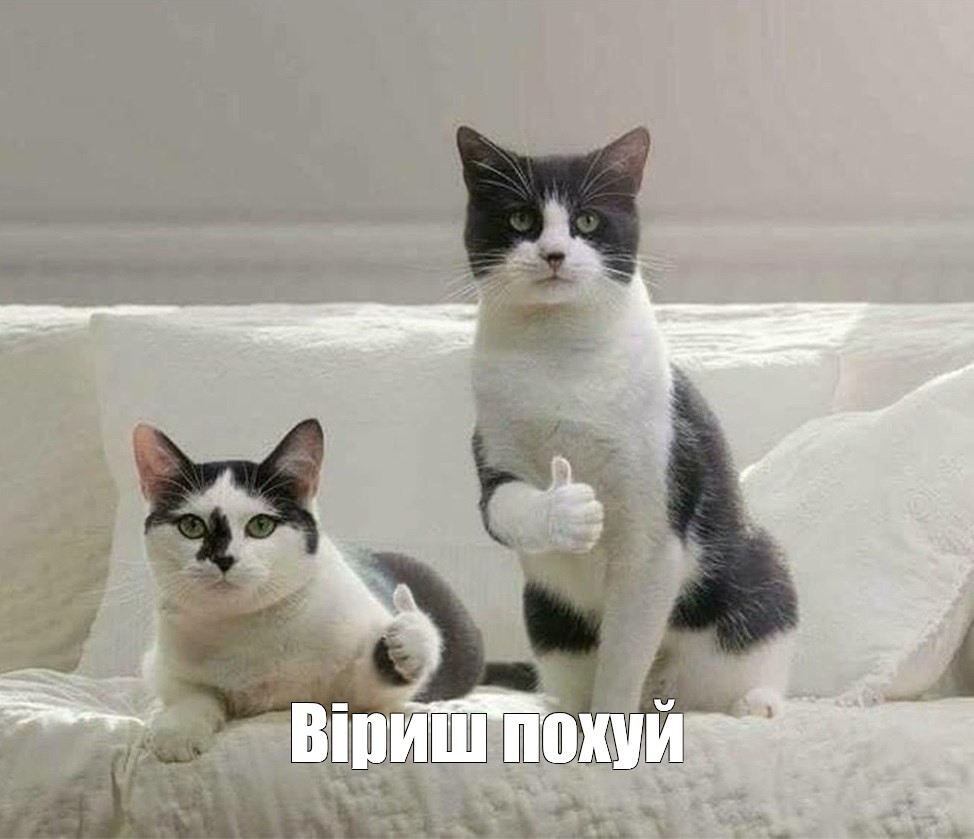 martianapolis's tweet image. Підлегла, відпочиваючи в Болгарії, пише, що інша підлегла, яка з 2022 не виходить на роботу, теж зараз там.
Я, який їбашить по суботах: