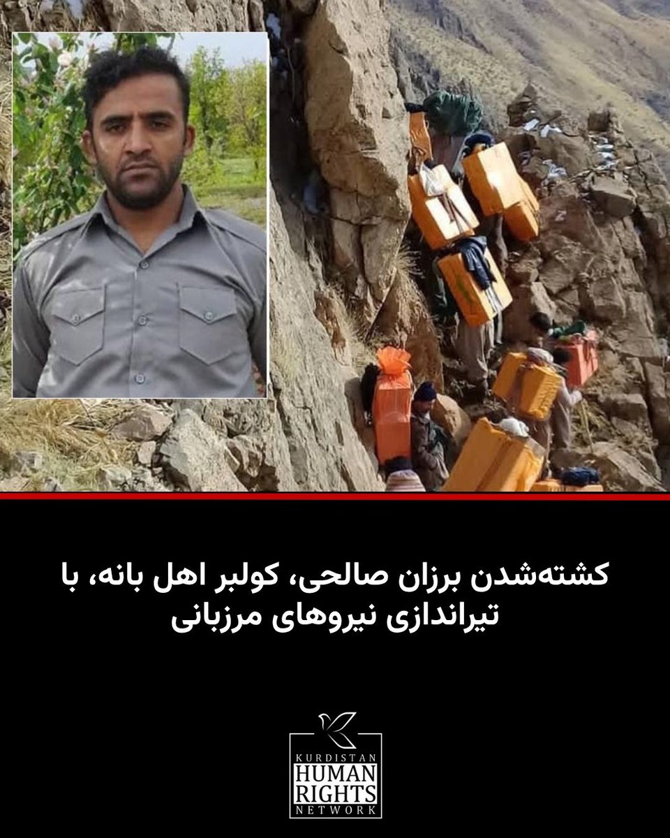 KurdistanHRN's tweet image. #برزان_صالحی، کولبر اهل بانه، در اثر تیراندازی نیروهای مرزبانی در مناطق مرزی این شهرستان کشته شد.
بر اساس اطلاع شبکه حقوق بشر کردستان، شامگاه ۳ مرداد ۱۴۰۴، گروهی از کولبران در منطقه مرزی «سیرانبند» شهرستان بانه، استان کردستان توسط نیروهای مرزبانی از فاصله نزدیک و بدون اخطار…
