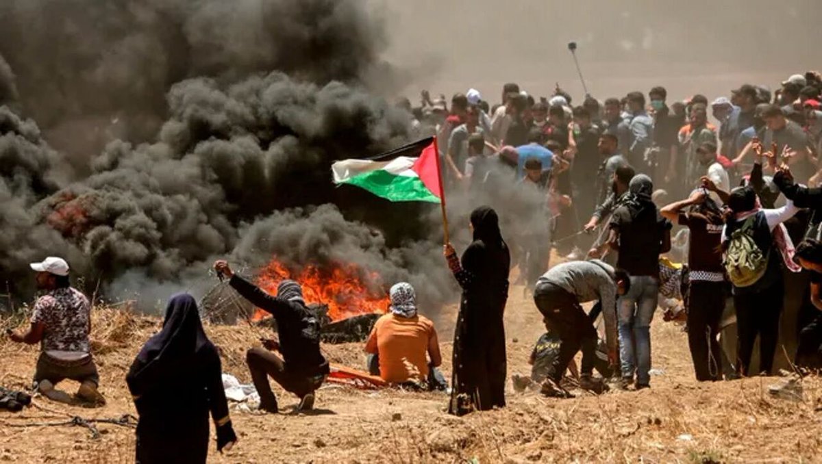 Fateme8826's tweet image. غزه یعنی مقاومت در دل آتش،
عشق حسین یعنی امید در سختترین روزها،
ملت حسینی، ایستاده در برابر هر ظلم و تاریکی،
ما همان ملتیم که با نام او هرگز نمیشکنیم.
#حب_الحسین_یجمعنا
#ملت_حسینی