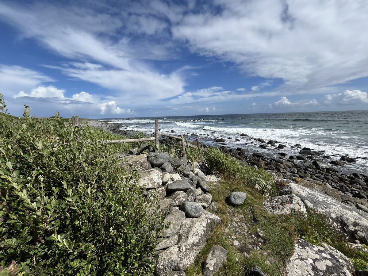 EvocativeCorn's tweet image. Coast path walk from Coverack.