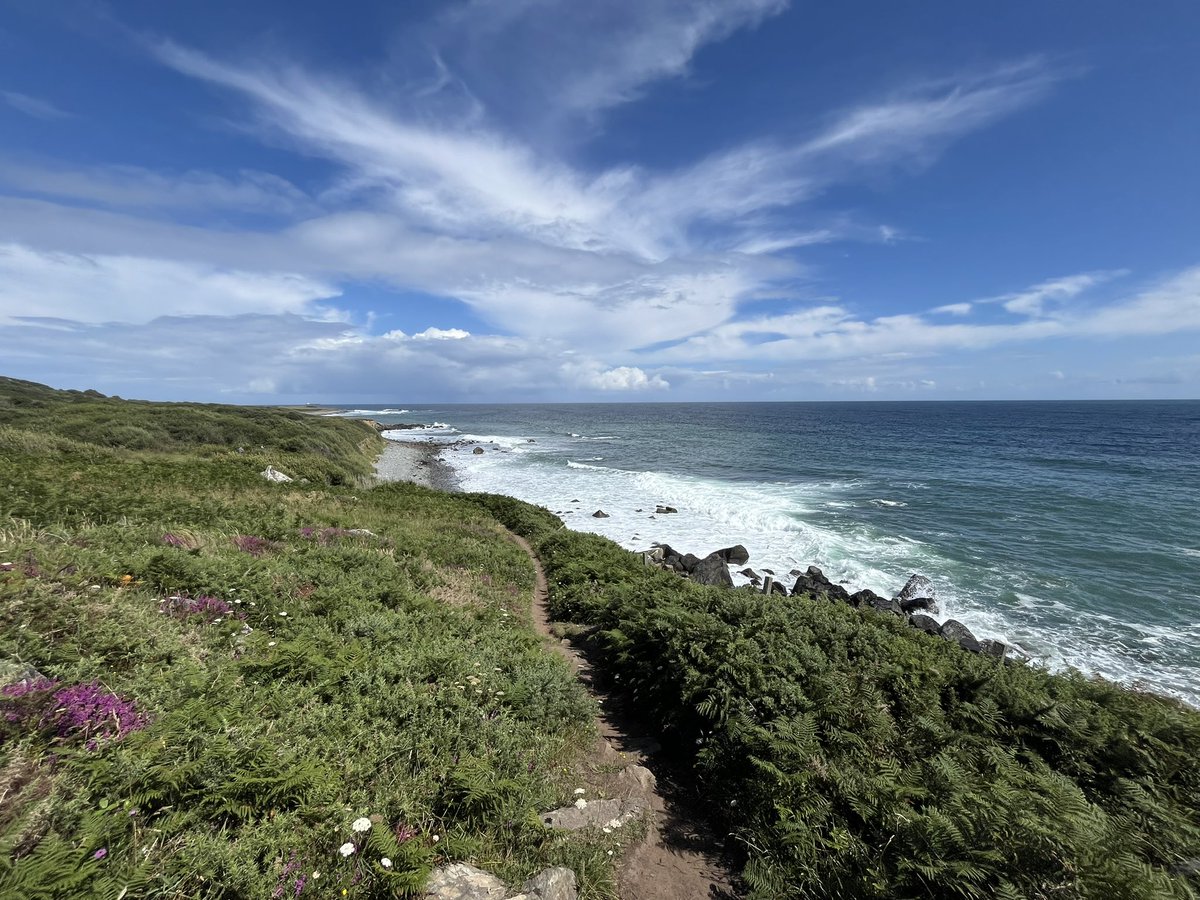 EvocativeCorn's tweet image. Coast path walk from Coverack.