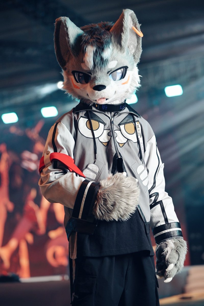 LYKOS_42's tweet image. #FursuitFriday  Vol.1

就喜欢穿新衣服！
New cloth&apos;s the best!

新款外套来自@Andex_lion！
📷：@阿穷