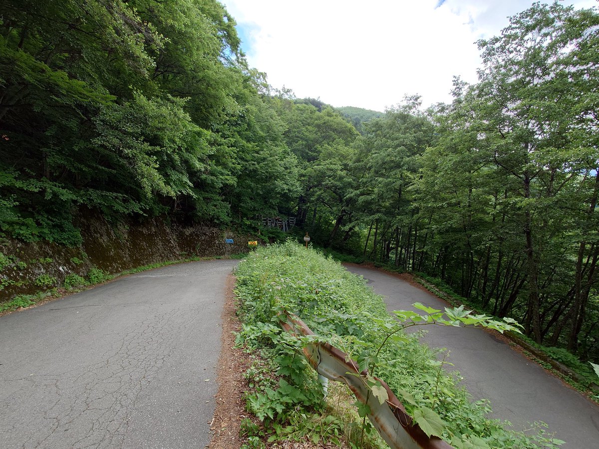 ToyPoodle439's tweet image. 今日は、国道158号安房峠に行ってきました。
空気が良くて、気持ち良かったです。
峠道は、楽しいですね。