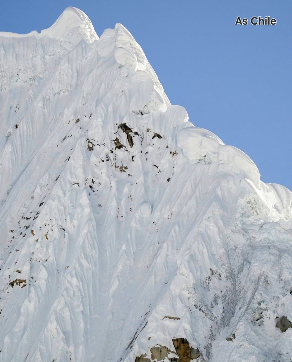 Con solo 23 años, el montañista 🇨🇱 Nick Hortahĥ realizó la 1ª ascensión invernal en Free Solo al N. #Alpamayo (5.947m)
En 3:30h, escaló en solitario desde el camp alto, con Tª de hasta -17,5°C, hielo inestable y un terreno mixto de roca/ nieve. 
Leer en 👉chile.as.com/masdeporte/un-…