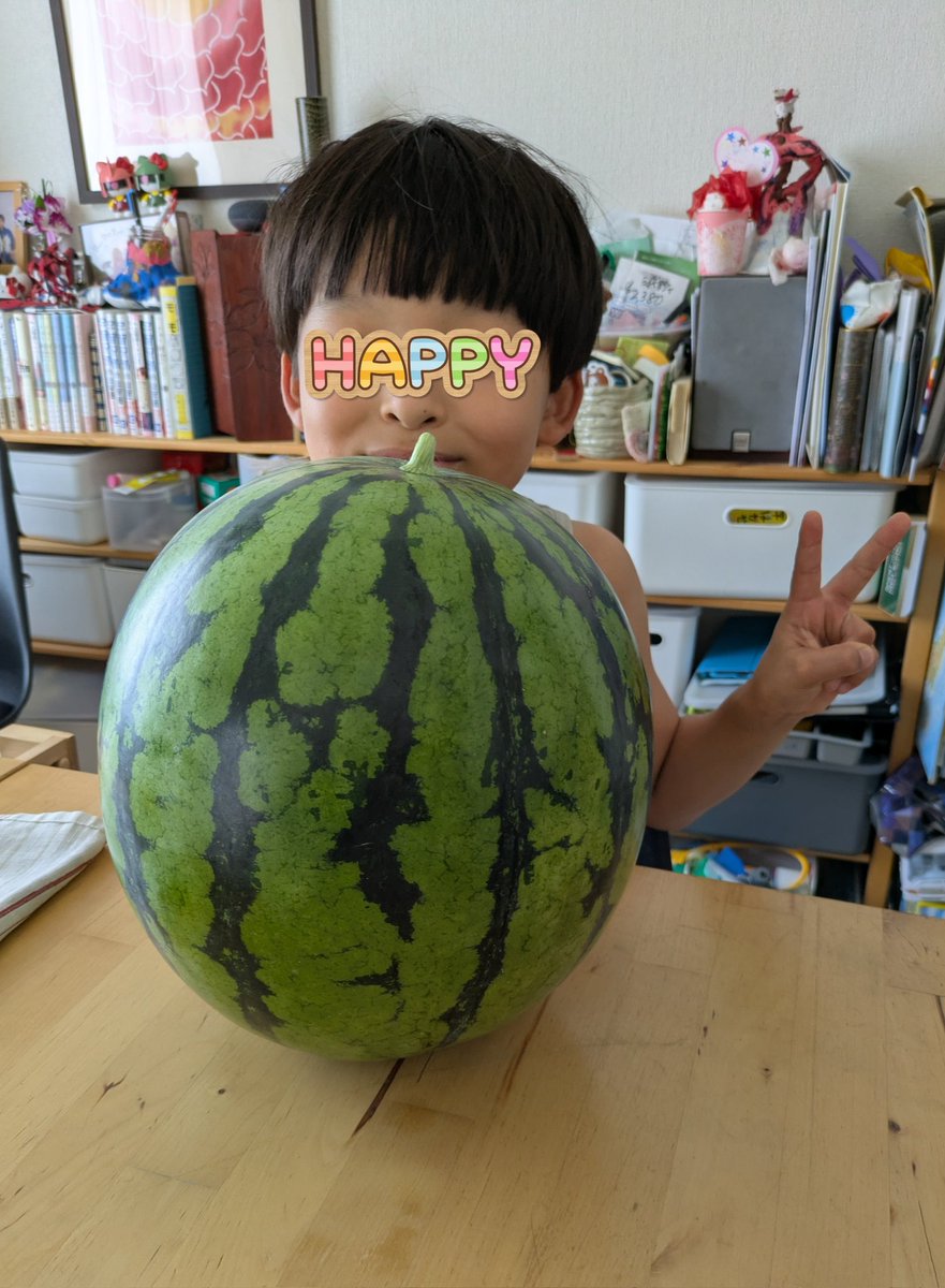 dentbranche4357's tweet photo. レッドバルーンスイカ。
今年は雨が少なく日照時間豊富だったので、大玉が良好でした。
完全無肥料無農薬で出来たし満足🍉 https://t.co/X59sb0AsUL