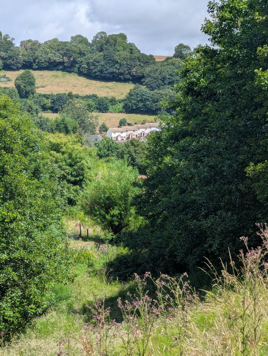 Rural council housing - embedded in the English countryside and once an essential part of rural life. Early post-war and early 1960s housing built by Honiton Rural District Council in Branscombe, Devon.