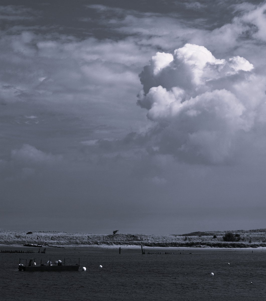 solidbond's tweet image. #gallery365in2025saturdaymono @Gallery365photo