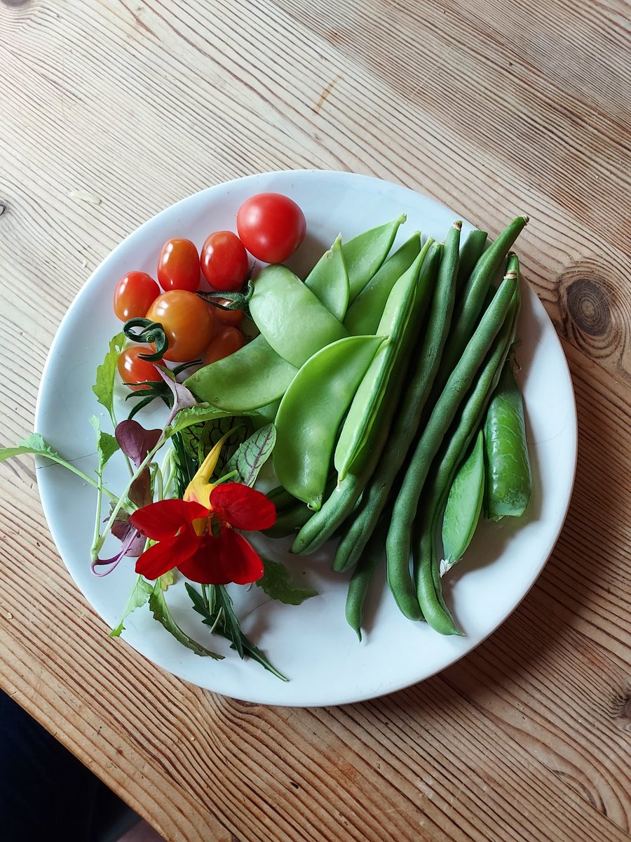 25/7 55g of tomatoes, 57g French beans, but the peas have it, 63g. 175g all together