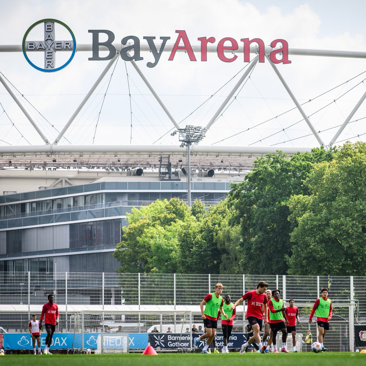 Home 🏟️