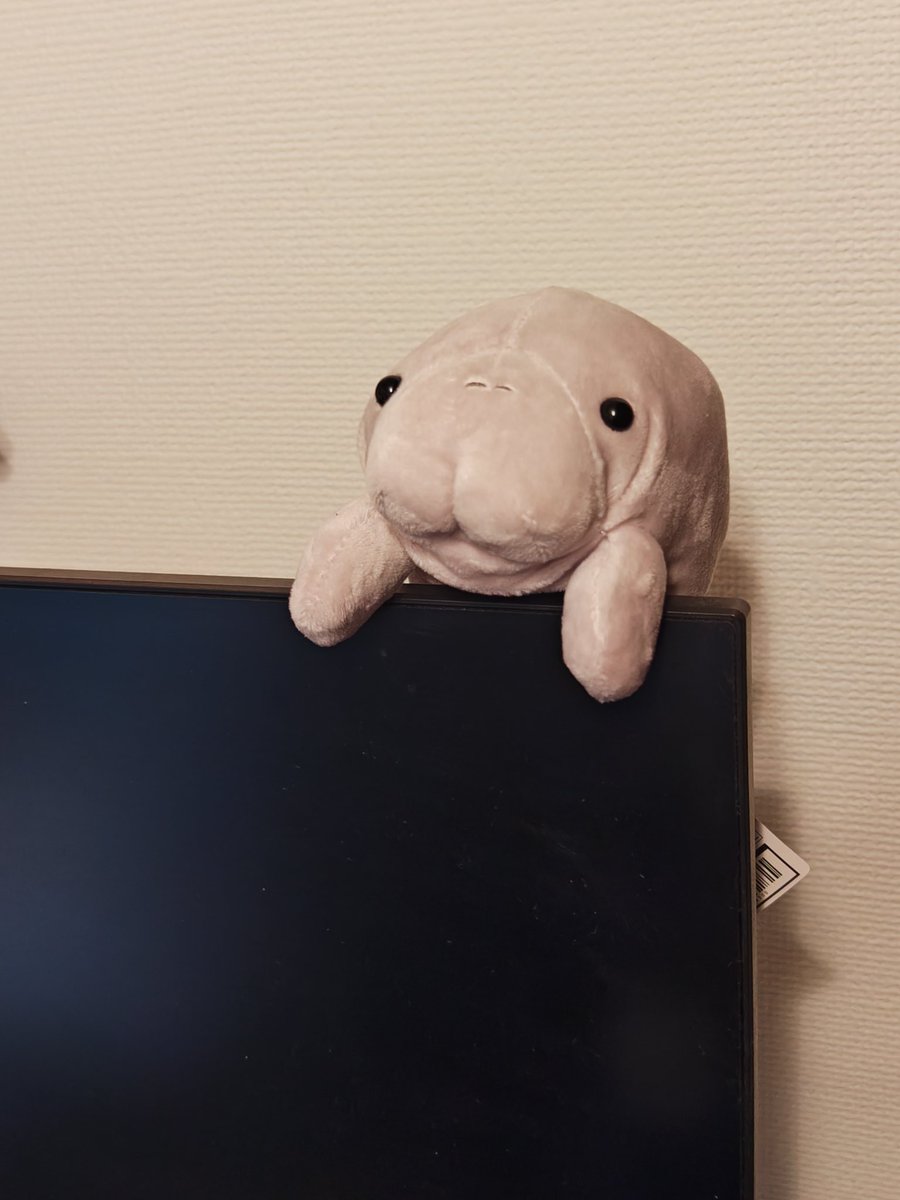 violet_HM10's tweet image. とりあえず、帰宅…☀( *¯ㅿ¯*)暑っ💦
疲れたぁあ!!!
電気屋いったり、ドラッグストア行ったり…
プヌはモニターの上に住まわすことにしました🫧
今日から見守り隊よろしくね💜