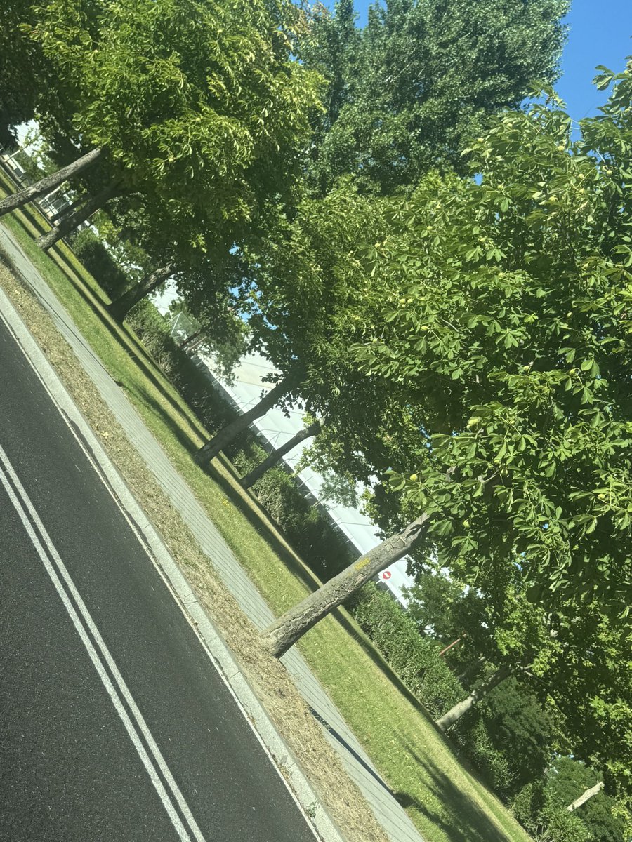 Alguien sabe decirme por qué ya está instalada la carpa de las casetas regionales en el nuevo recinto? Faltando todavía un mes y unos días. <a href="/AyuntamientoVLL/">Ayto. de Valladolid</a>. No sé si vosotros sabéis algo <a href="/velezpsoe/">Luis Vélez</a> <a href="/herreropedro/">Pedro Herrero</a>