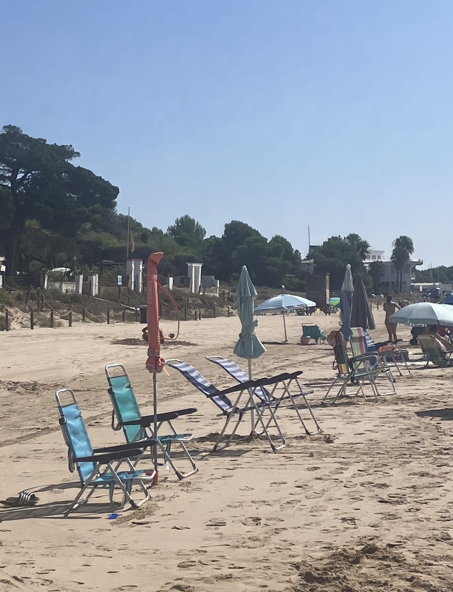 marisamuseu's tweet image. Comencem la temporada a la Llarga amb l’ocupació de l’espai públic!!
Guiris plantant les cadires a la vora del mar amb total impunitat!
La cadira amb tovallola de ratlles és la meva , és clar que no els ha agradat gaire que algú usurpi els seus “privilegis’!
@TGNAjuntament