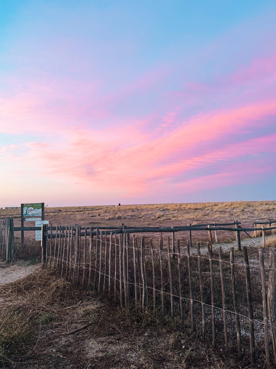 Lina ❁ tweet media