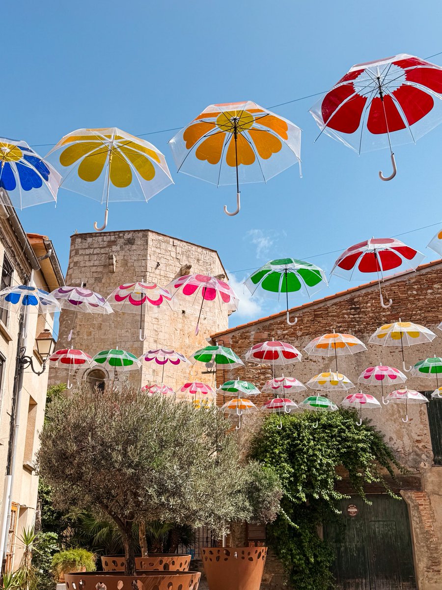 Lina ❁ tweet media