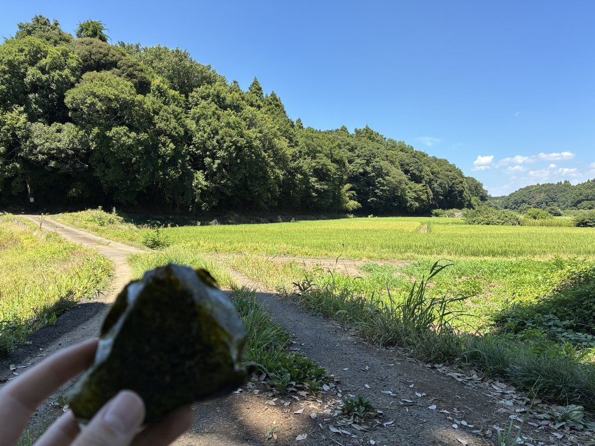 CaptMurasha's tweet image. 誰も来ないのをいいことに農道の日陰に座って昼食を摂っていた