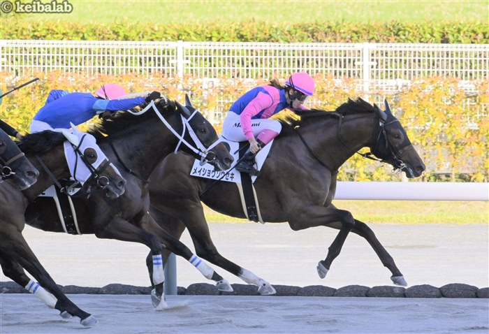 keibalab's tweet image. 【今日のやったぜ!】
中京10R・3歳上1勝クラスを単勝9番人気のメイショウソウセキで逃げ切った永島まなみ騎手。勝利後のこのポーズもお馴染みになりつつあります。来週号の"まなみの学び"で喜びの声が聞けそうです。
#メイショウソウセキ #永島まなみ
keibalab.jp/db/jockey/0118…