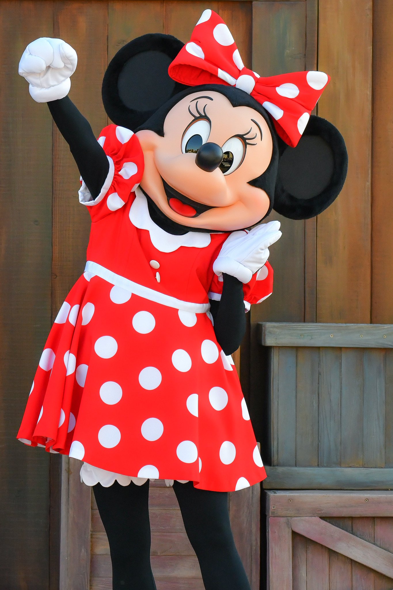 Disney - スペシャルフォト　2005 原板　ノーマルコス Disney - スペシャルフォト 原板 2005 ディズニー ノーマルコス