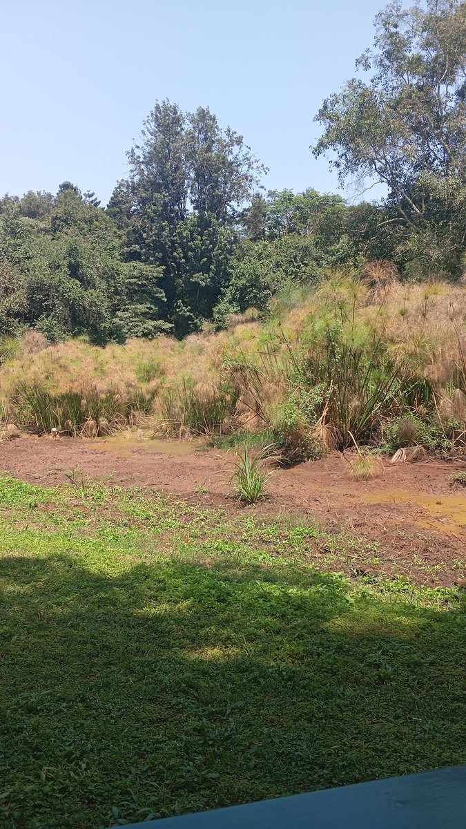 I touched grass 
Inspired by <a href="/mercy_nimo28/">Mercy W.</a>