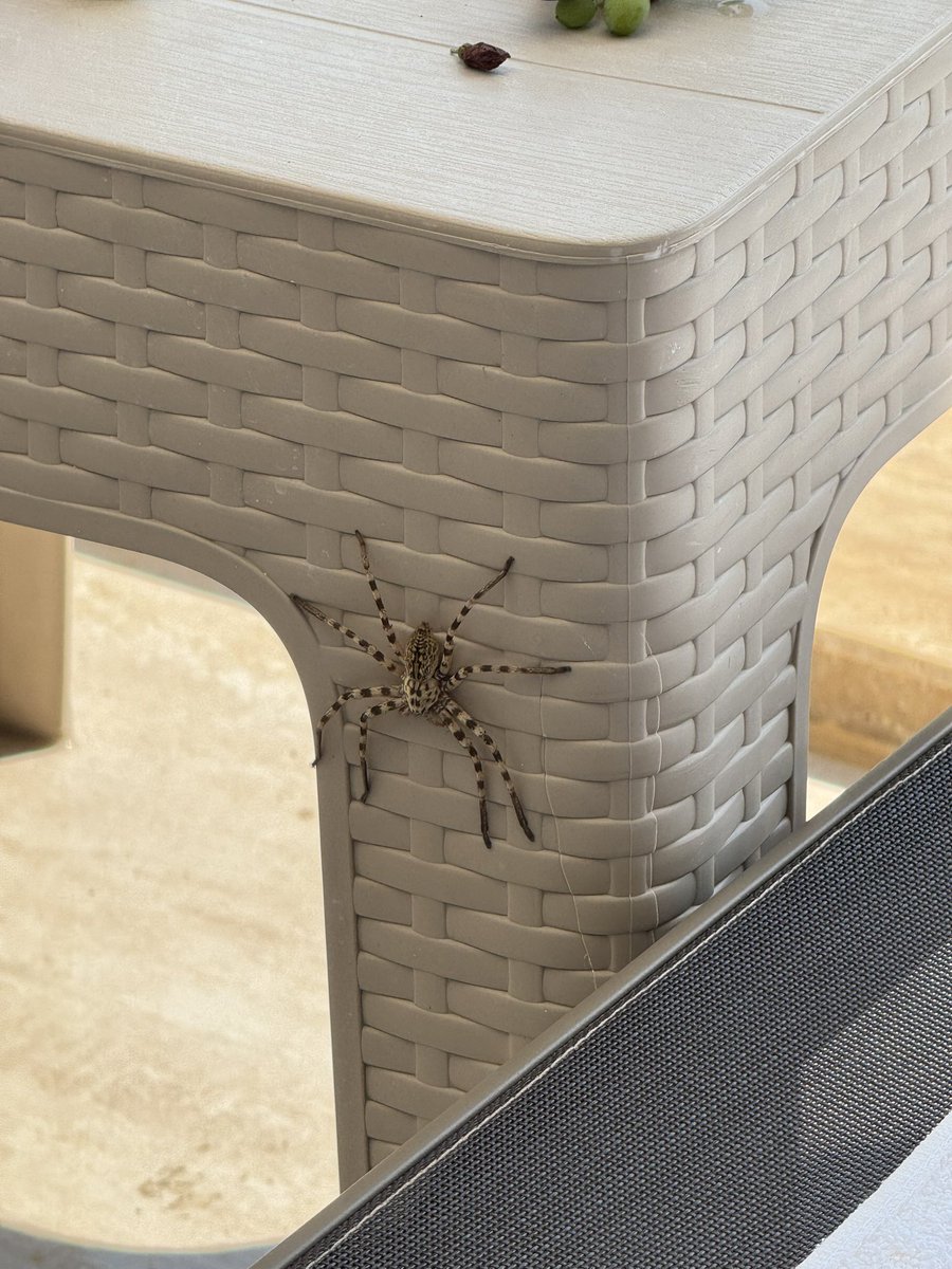 Bu güzellik ile havuz keyfi :)