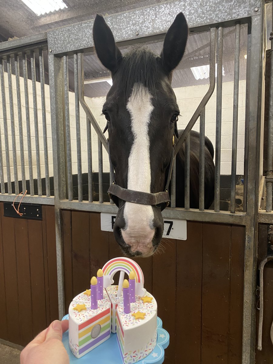 Police Scotland Horses tweet media