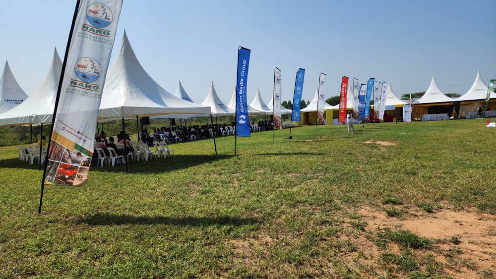 Simon Kakaum (@simonkakaum) on Twitter photo Gulu Regional <a href="/IraUganda/">IRA UGANDA</a> led by Lubega Swaib & Biryomuruwe Kenneth Edwin, today joined the Seeds of Gold Farm Clinic at Nabuin ZARDI,Moroto by Nation Media (NTV & Daily Monitor). Theme: Smarter Farming for Bumper Harvests. #DrivingInsuranceGrowth <a href="/IRA_CEO/">ALHAJ. DR. KADDUNABBI IBRAHIM LUBEGA</a> <a href="/ITC_Kampala/">Insurance Training College</a> <a href="/MegafmGulu/">Mega Fm Gulu</a> Gulu Regional <a href="/IraUganda/">IRA UGANDA</a> led by Lubega Swaib & Biryomuruwe Kenneth Edwin, today joined the Seeds of Gold Farm Clinic at Nabuin ZARDI,Moroto by Nation Media (NTV & Daily Monitor). Theme: Smarter Farming for Bumper Harvests. #DrivingInsuranceGrowth <a href="/IRA_CEO/">ALHAJ. DR. KADDUNABBI IBRAHIM LUBEGA</a> <a href="/ITC_Kampala/">Insurance Training College</a> <a href="/MegafmGulu/">Mega Fm Gulu</a>