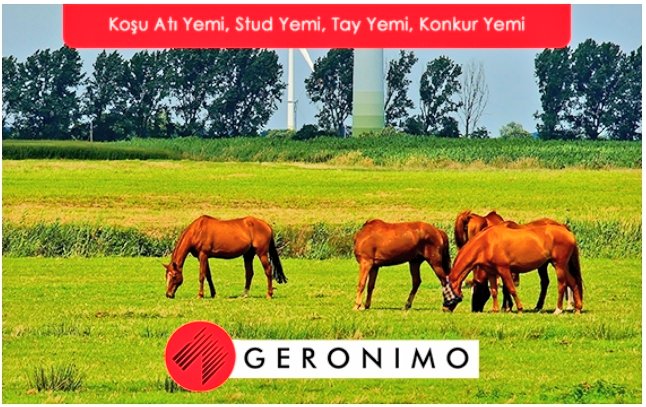 Geronimo (@geronimoatyemi) on Twitter photo 