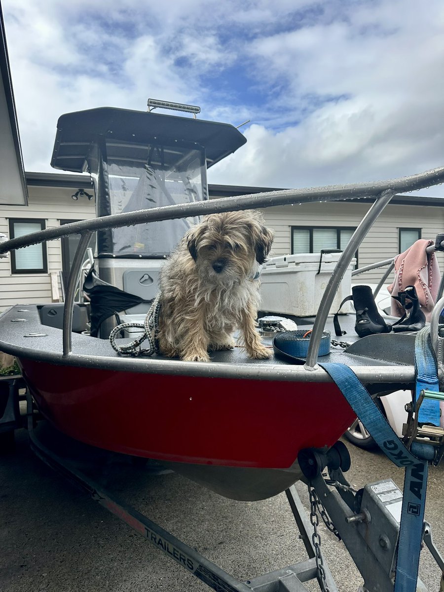 MossTheBT's tweet image. Not sure the salty sea dog life is for me