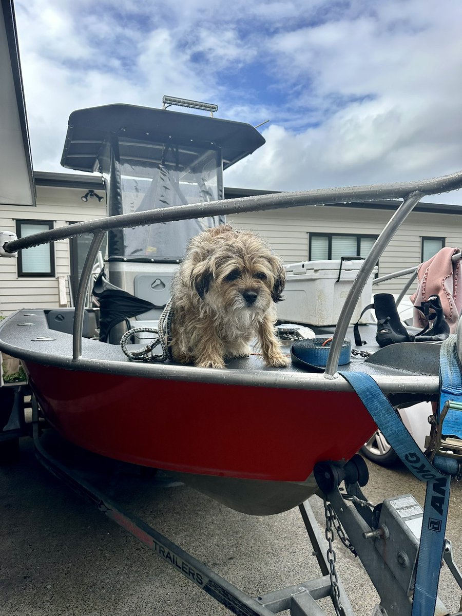 MossTheBT's tweet image. Not sure the salty sea dog life is for me
