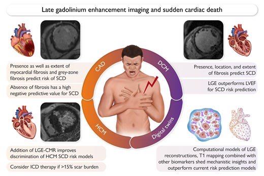 Late gadolinium enhancement on cardiac MRI❤️‍🔥

Has #LGE changed how YOU risk-stratify or treat? Drop your pearls + cases below! 🗣️💡

Follow me for more insights 💫
#WhyCMR #SCD