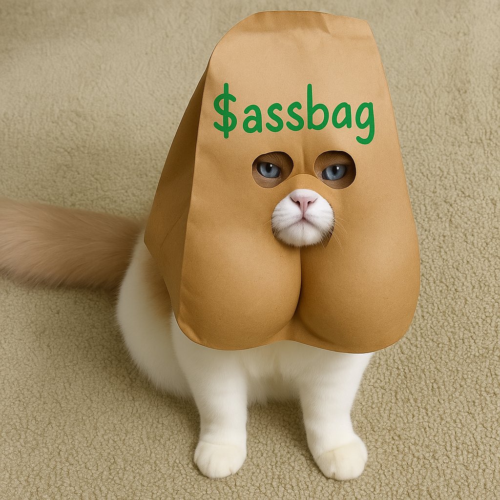 ASSBAGsolana's tweet photo. Drip too hard, can’t bag this sass 🐱💼 #Assbag #CatFashion #MemeCoin
#bagcat #catwifbag @BagsApp @finnbags https://t.co/l6VaHesYrB