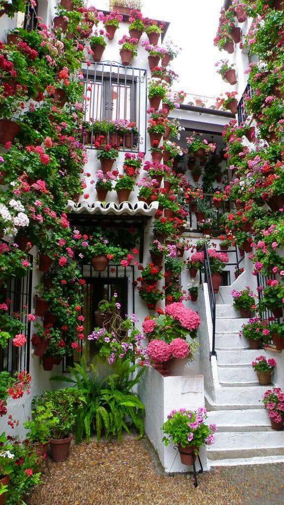 Flowers and Gardens 💐🌹🌺🌷🌸 (@beauty_lovers11) on Twitter photo 