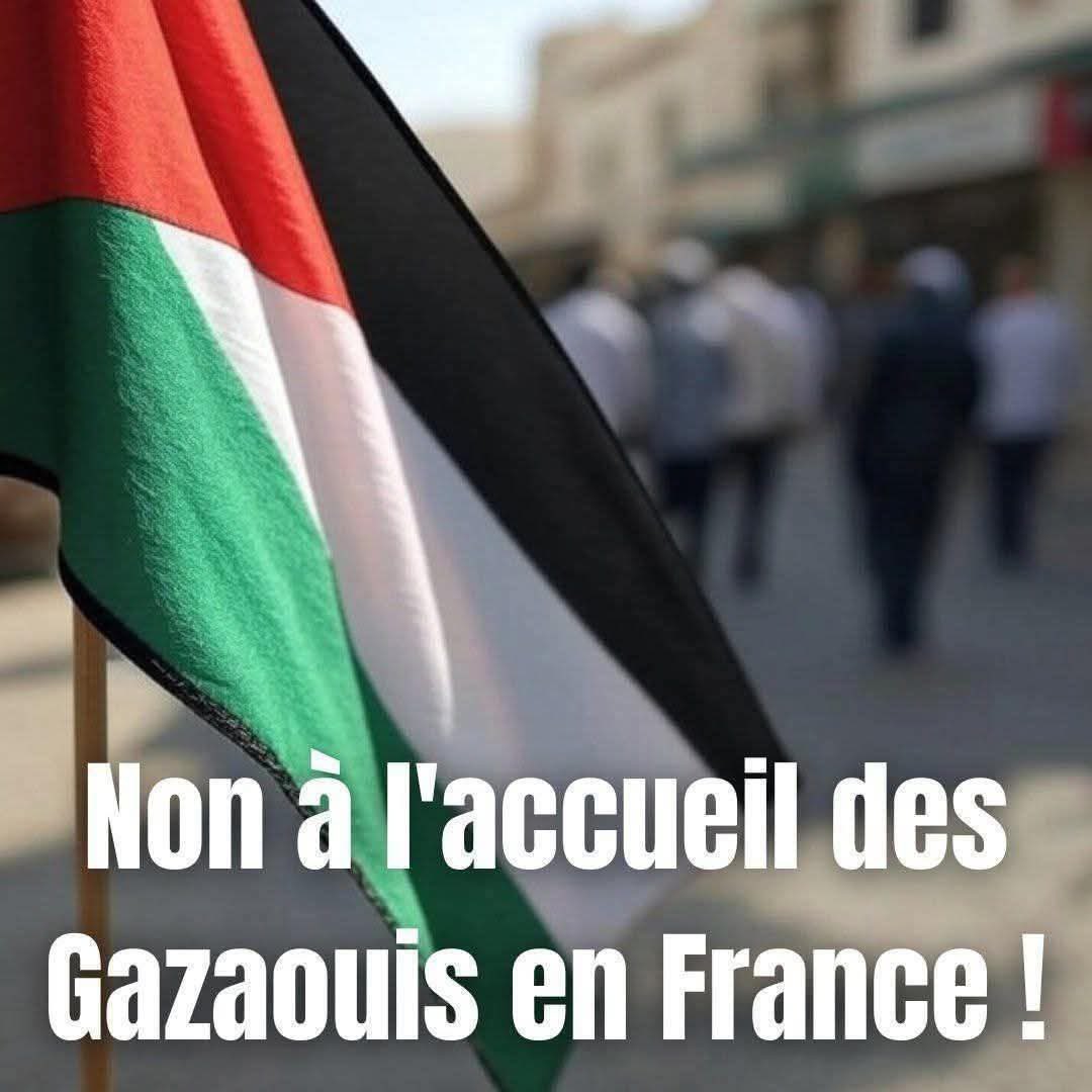 MichAaronFaith's tweet image. ❝Pourquoi n’écoute-t-on pas les Français ?❞