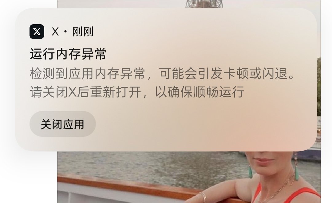 imwsl90's tweet image. …… 12G内存还没法流畅运行X