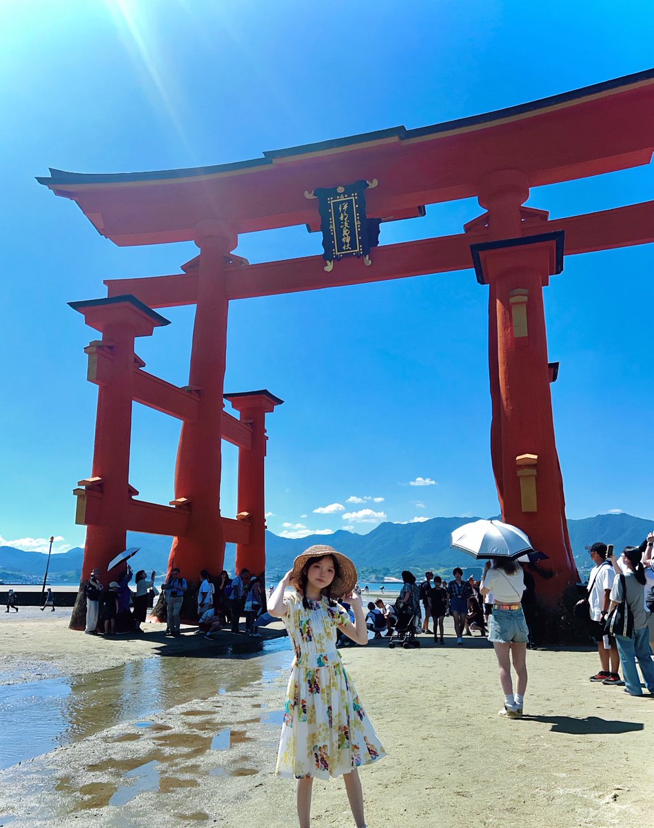 mamema_chima's tweet image. 厳島神社🌊⛩
終始汗だくだった！迫力があった！