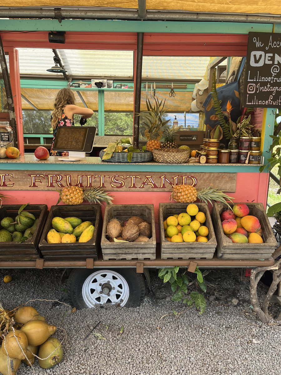 🌺🥥