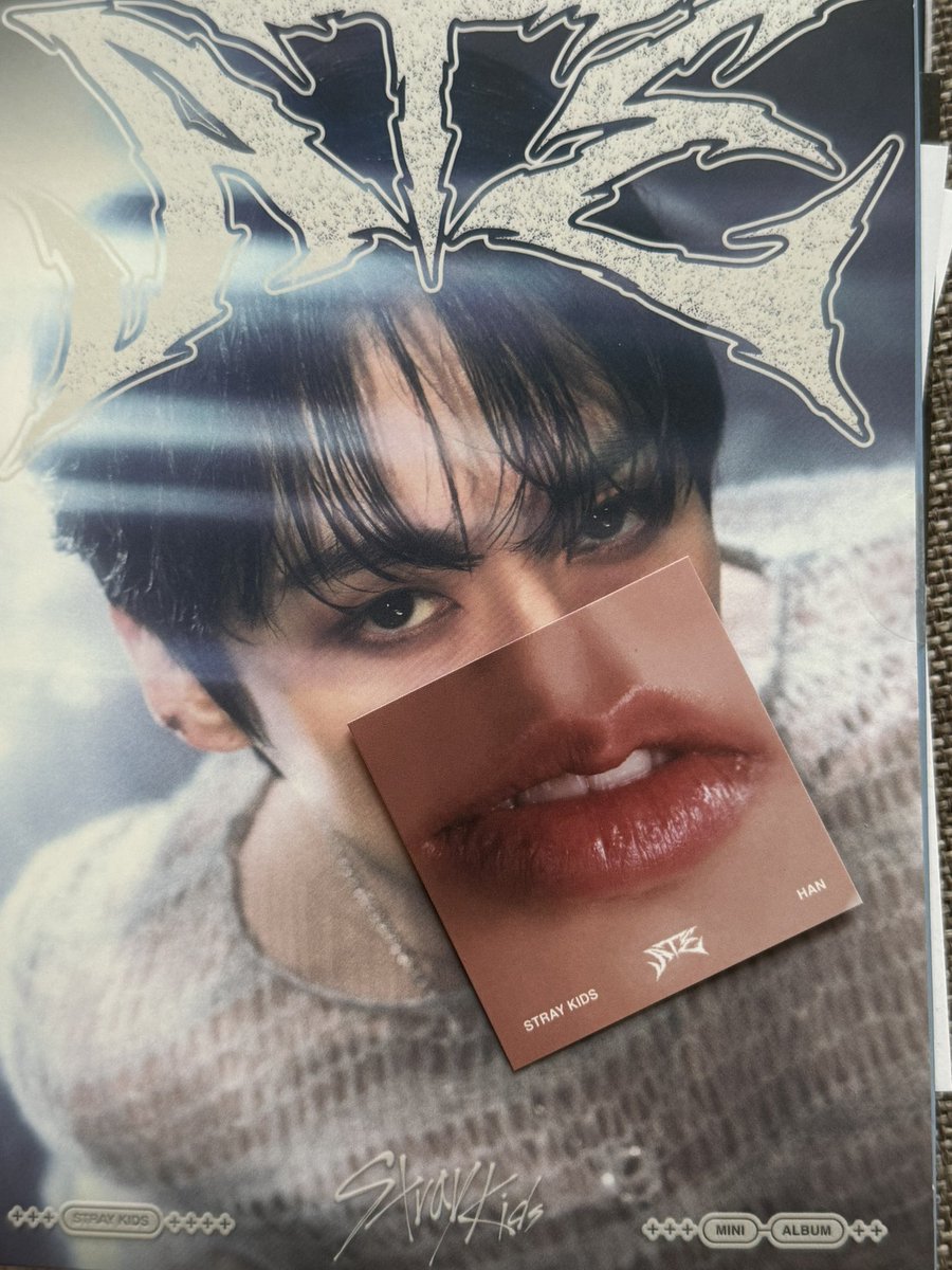 pepiphanyhani's tweet image. 👁️👄👁️
#straykids
