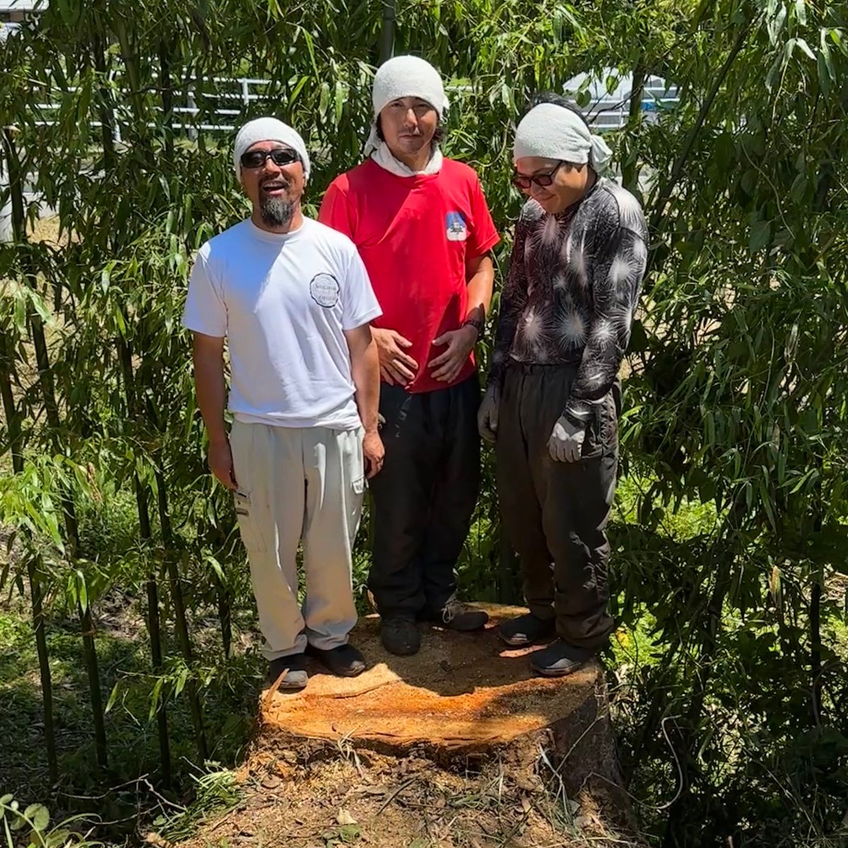 koyamarinsan's tweet photo. Day2
富士見町で緑化創造舎様の現場完了！
早く終わりたまには早く解散🤙

#富士見町 #欅 
#緑化創造舎 
#林業 #forestry #ユニック 
#伐採 #特殊伐採 #空師 #Arborist
#ropeworker #treeclimber
#treeservices #treeremovals 
#stihl #husqvarna 
#スチール #ハスクバーナ 
#小山林産 https://t.co/Wl81QV5n49
