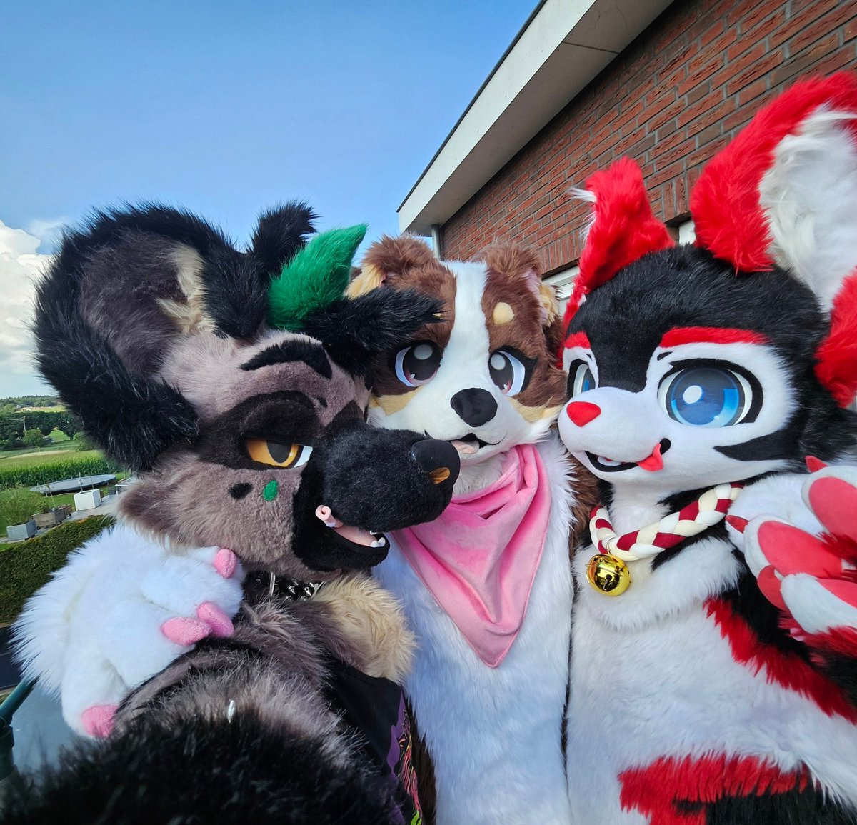 skittleshusk's tweet image. We've placed a nuggie trap in the wild. Took @KindridFox less than 10 minutes to fall for it 😈