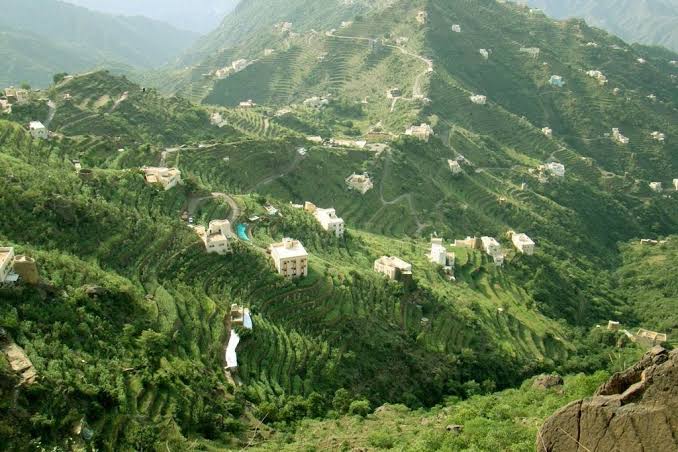 Green heaven in Saudi Arabia 🇸🇦