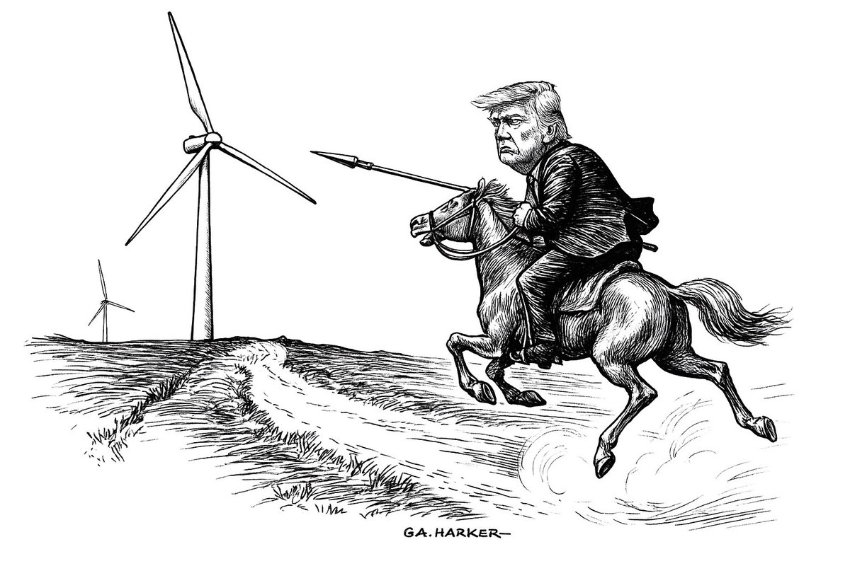 Donald Quixote 🤷