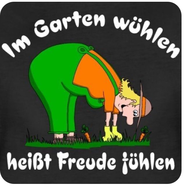 hedyundolaf's tweet image. Genug gefaulenzt ☺️ ab in den Garten das Unkraut wuchert immer da, wo es nicht soll 🥺🤣🤣🤣🤣